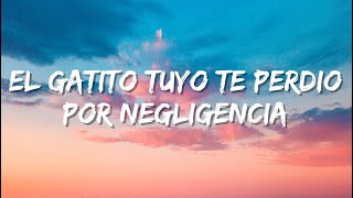 el gatito tuyo te perdio por negligencia (Letra/Lyrics)