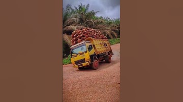 Thumbnail of Gini Baru mobil truk oleng,Dj ajojing ala ala ajojing