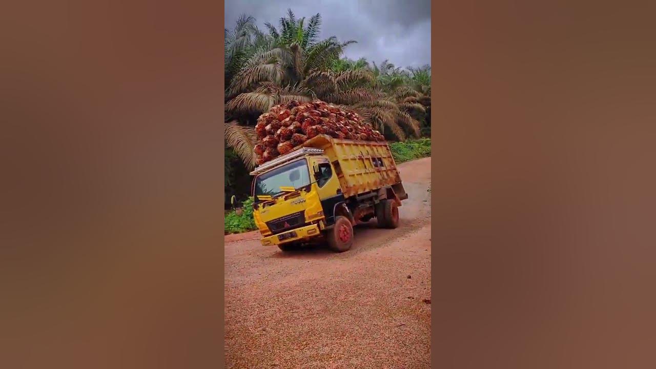 Gini Baru mobil truk oleng,Dj ajojing ala ala ajojing
