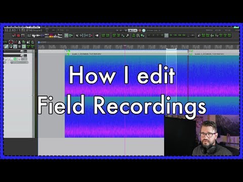 How I edit and process field recordings entirely in REAPER