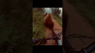 grizzly bear dancing 😁😂🤣 #funny #aistory #brainrotcontent #gorilla