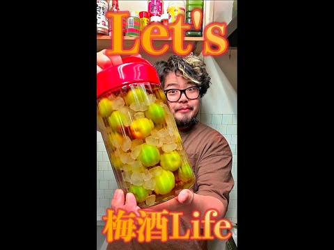 let's 梅酒Life　#Shorts　#梅酒　#料理人　#酒　#簡単　#料理　#レシピ