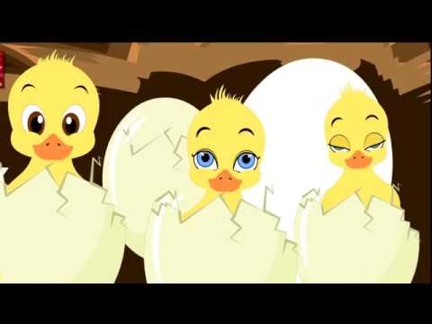 camera iphone 8 plus apk Songs Children Songs Birds of Paradise amusing songs