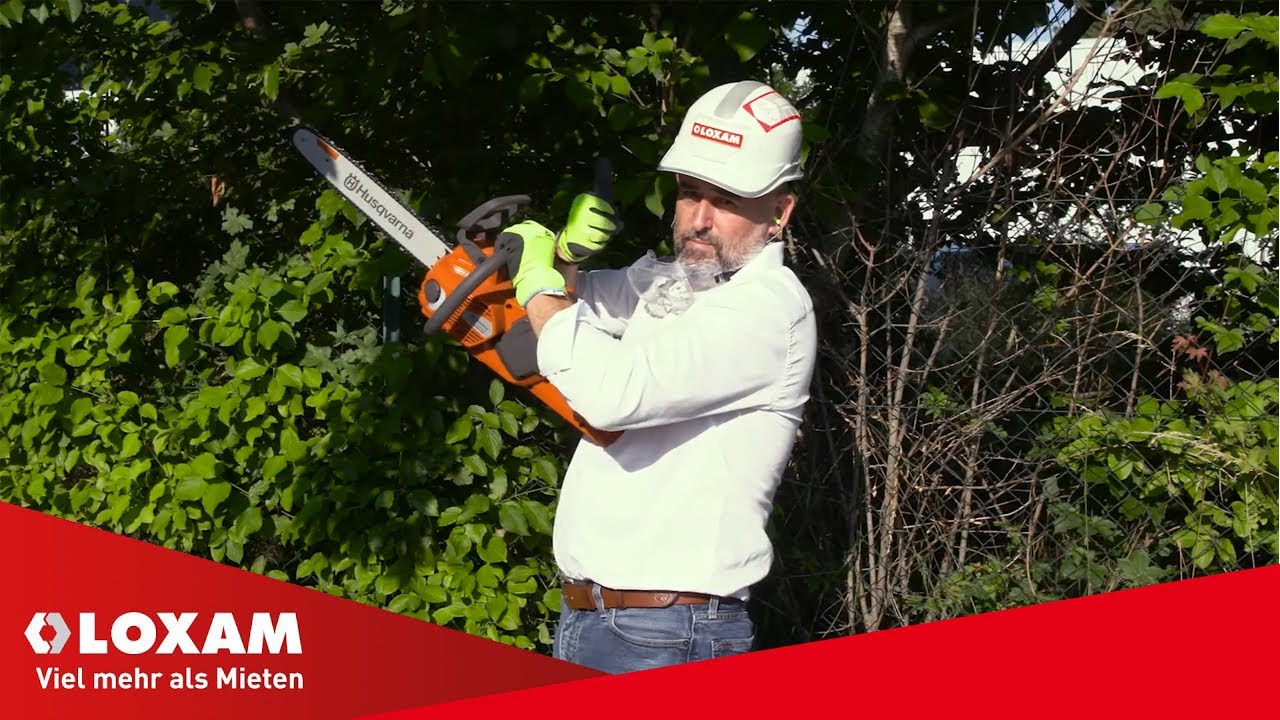 Richtig Hecke schneiden | LOXAM (Anleitung Heckenschere)