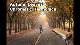 Autumn Leaves Chromatic Harmonica