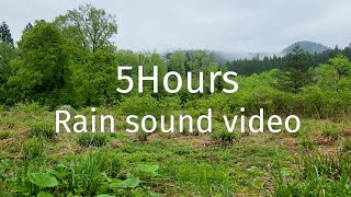 森と原野に降る雨の音　環境音自然音 4K｜勉強・作業用BGM・睡眠用｜快眠リラックス｜長時間ASMR【Nature Rain Sound 5hours】 by Relaxing BGV / 日本の水の音と映像channel 36 views 3 weeks ago 5 hours