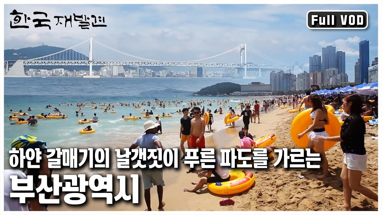 매년 여름이면 100만이 넘는 인파가 몰리는 부산! 갈매기의 영원한 고향, 항구 도시 부산광역시 ㅣ 한국 재발견 (KBS 20120825 방송)
