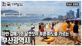 매년 여름이면 100만이 넘는 인파가 몰리는 부산! 갈매기의 영원한 고향, 항구 도시 부산광역시 ㅣ 한국 재발견 (KBS 20120825 방송)