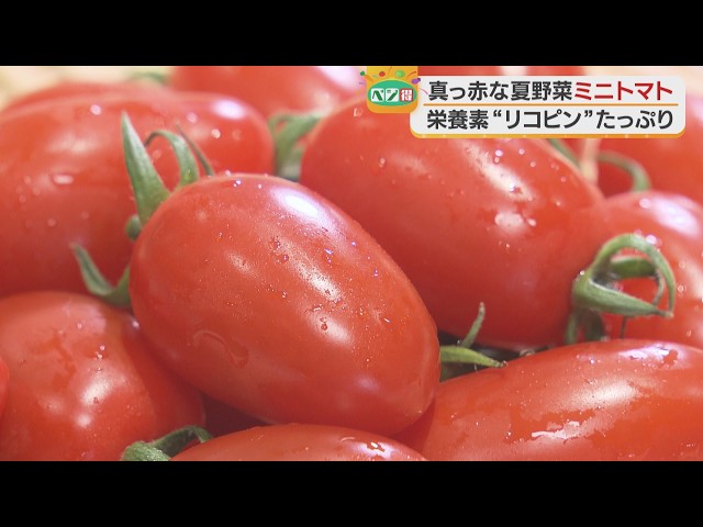 トマトページ❶ Veggie Deal] Enjoy the Rich Flavor of Cherry Tomatoes - YouTube