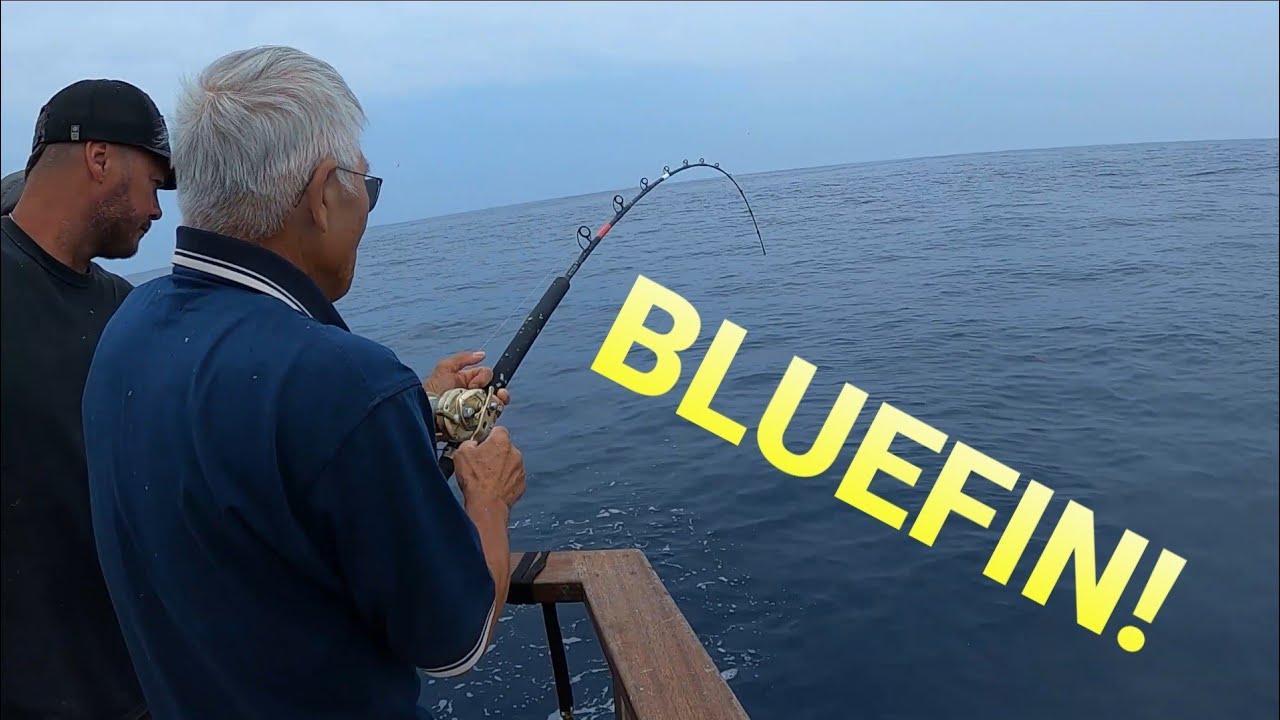 Awesome Bluefin and Yellowtail Fishing!! San Diego Non stop Action