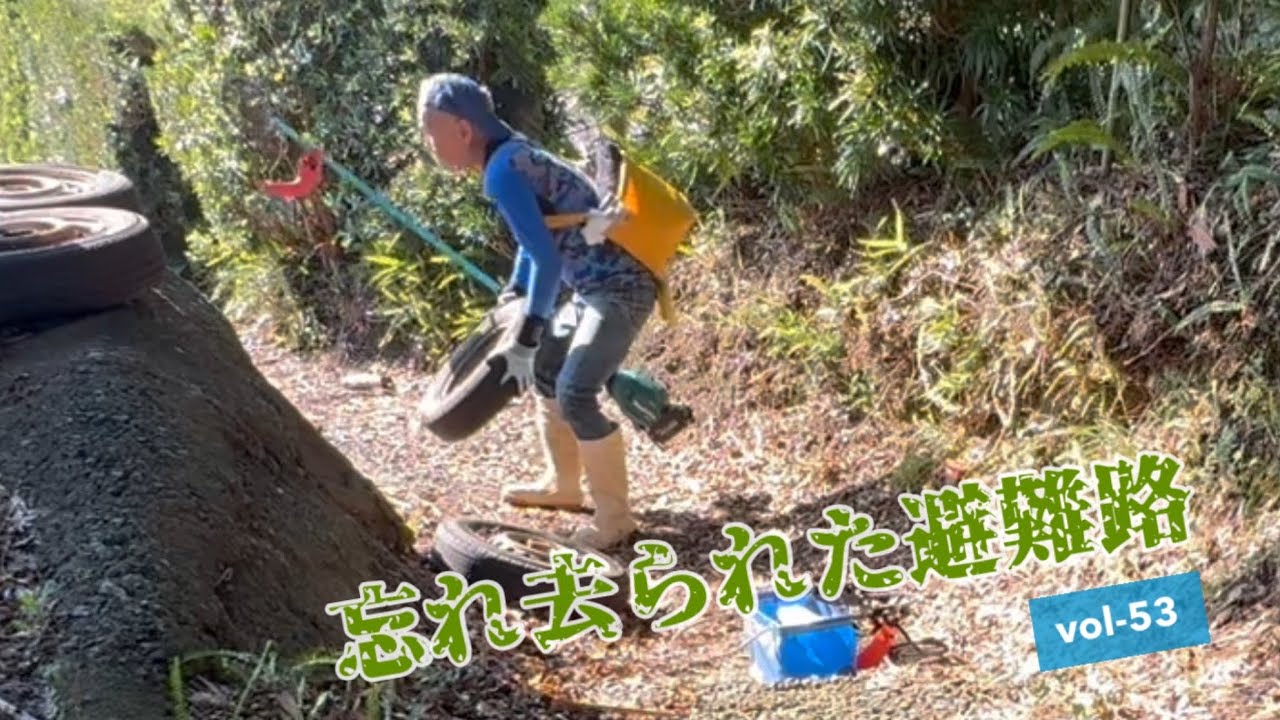 【避難路清掃53】６号目テラスの草刈り　#和歌山 #防災 #草刈り