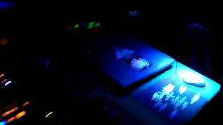DJ KIPI Sound & Light