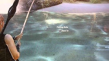 Elder Scrolls Online Camera/Video Bug (flicker)