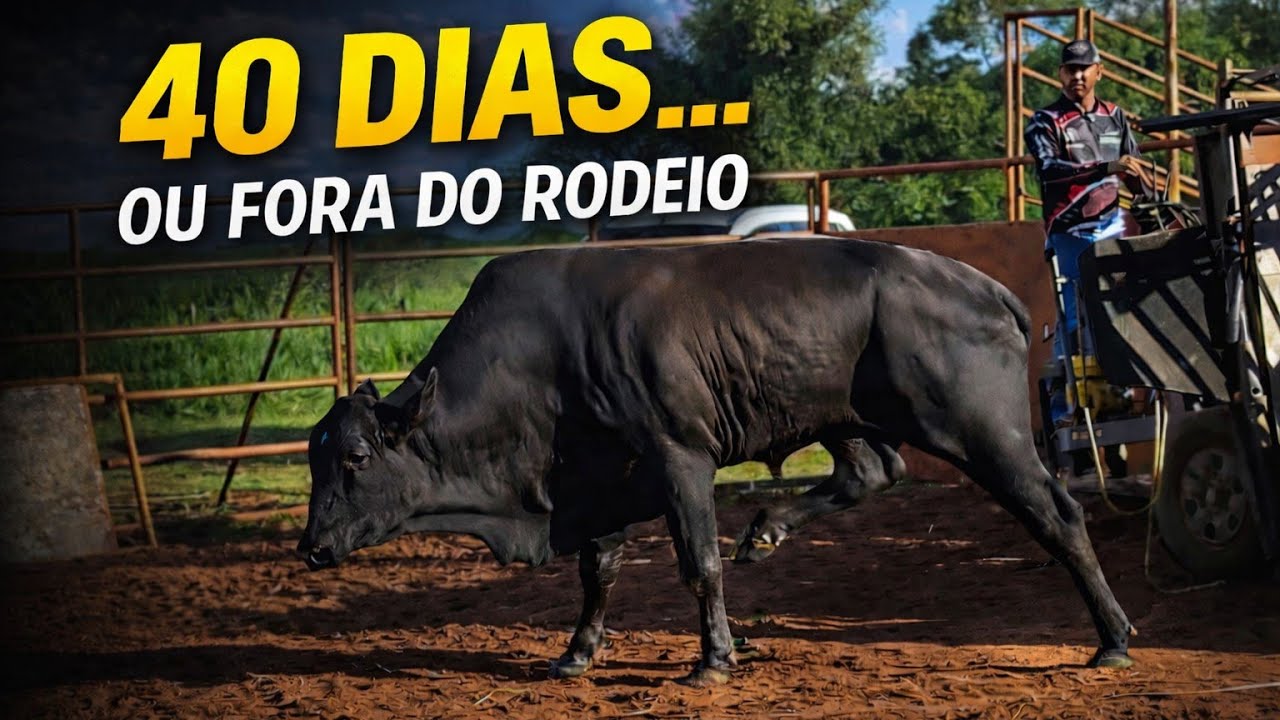 Ele tinha 40 dias para voltar ao rodeio