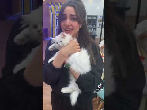 الغلطة الكبيرة بسمة و بدر وزينب بينو بتقلد زينب