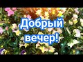 Добрый вечер! ПРОЩАЙ НАШ АВГУСТ Пожелания доброго вечера! Открытки добрый вечер