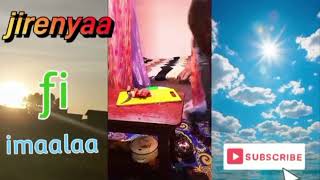 Life Kophummaa 2026 Life History 1