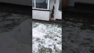 Celebrity ETHAN WALKER- Snowwwhhhh No! MY HEAD Wealth