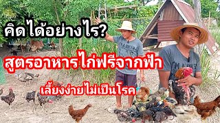 คิดได้ยังไง? เลี้ยงไก่ฟรีอาหาร ทำอย่างไรไก่ไม่บินเข้าสวน คือดีสุดๆ