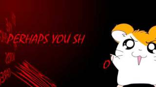 Hamtaro 300