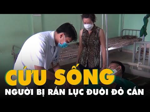 Video Cứu sống người đàn ông bị rắn lục đuôi đỏ cắn khi đang... - youtube