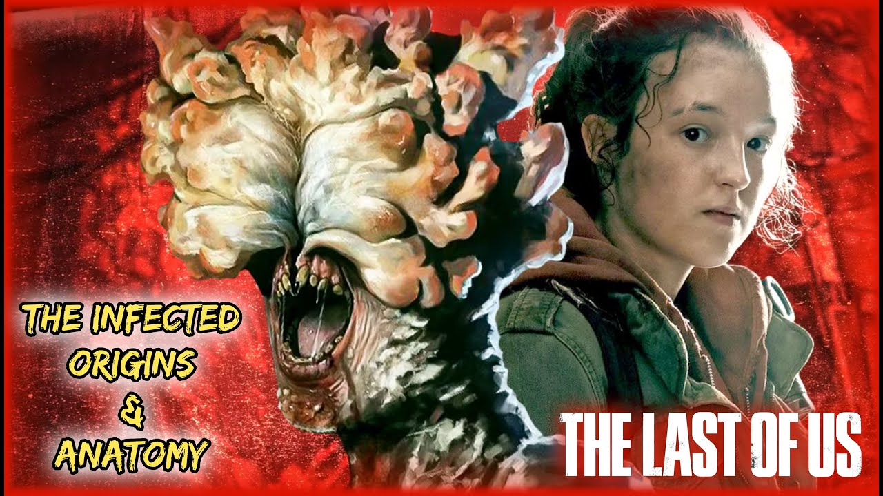 The Infected Origin and Anatomy Explained From The Last of Us - YouTube