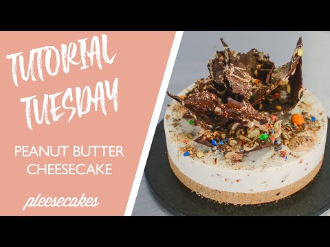 peanut-butter-&-m+m-cheesecake-recipe---pleesecakes-tutorial-tuesday