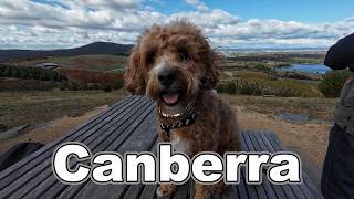 Canberra. Pet Friendly. You'll Be Surprised!