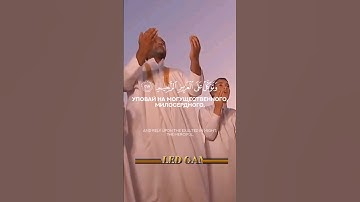 {وَتَوَكَّلْ عَلَى الْعَزِيزِ الرَّحِيمِ الَّذِي يَرَاكَ حِينَ تَقُومُ ... } سورة الشعراء 217