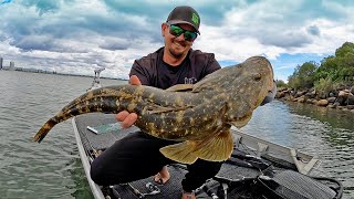 BIG FLATHEAD on the GOLD COAST.