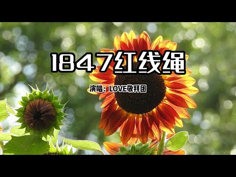 小敏迦南诗歌新制作#1847《红线绳》