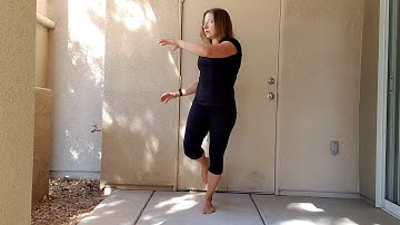 Single Leg Balance With Trunk Rotation