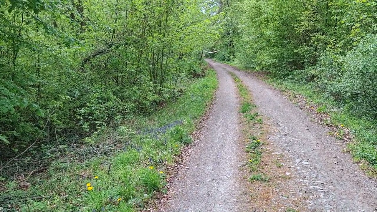 Glider model "WingRay PRO" flight