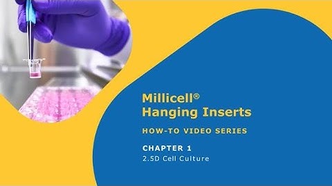 Millicell® Hanging Inserts – How to use – Chapter 1: 2.5D Cell Culture