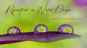 Refraction in Water Drops - it