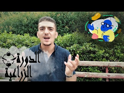 فيديو: تناوب المحاصيل. تناوب الخضار في الأسرة