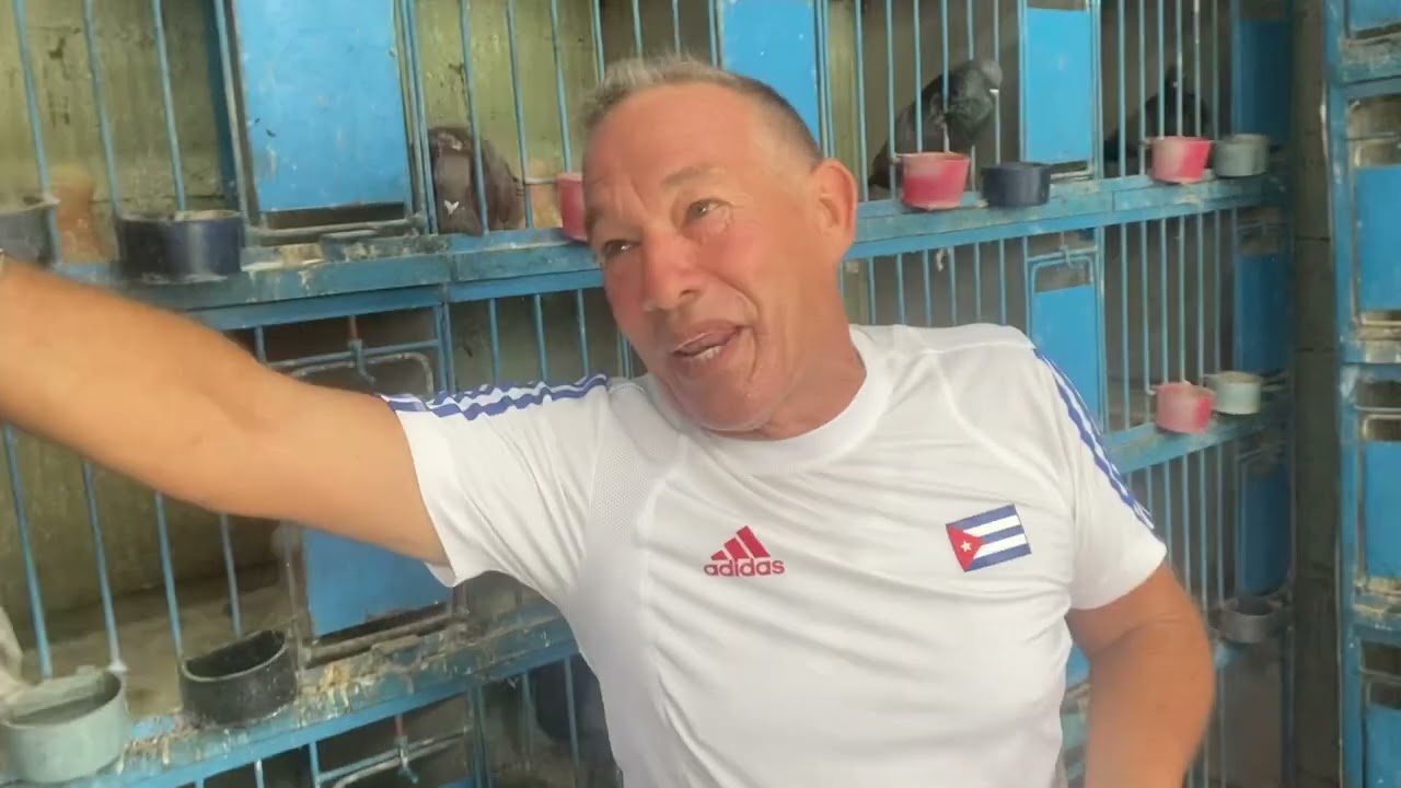 Visitando el Reproductor de mi amigo “Rey” en Guanabacoa - Septiembre 2024. 🔥TEAM MIAMI VICE 🔥🇺🇸🇨🇺👊🏻