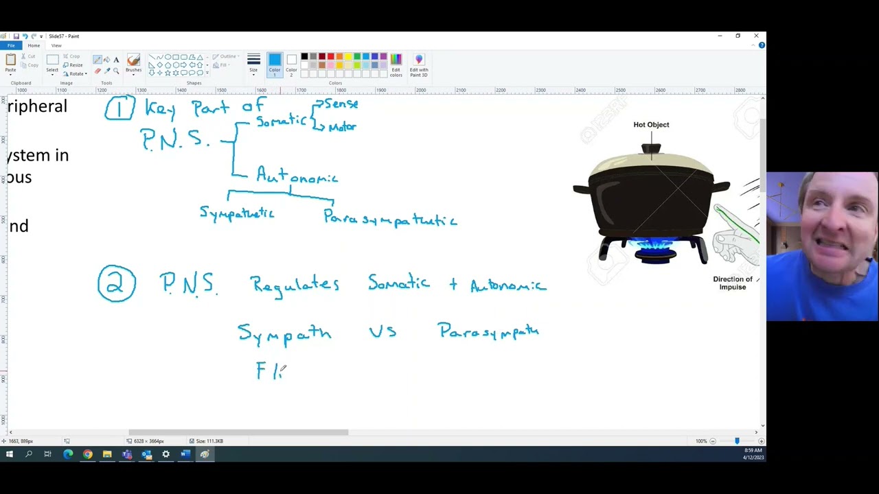 Bio 30 Unit 1 Lesson 4