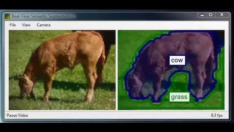 2008 Real-time semantic textons segmentation using random forests