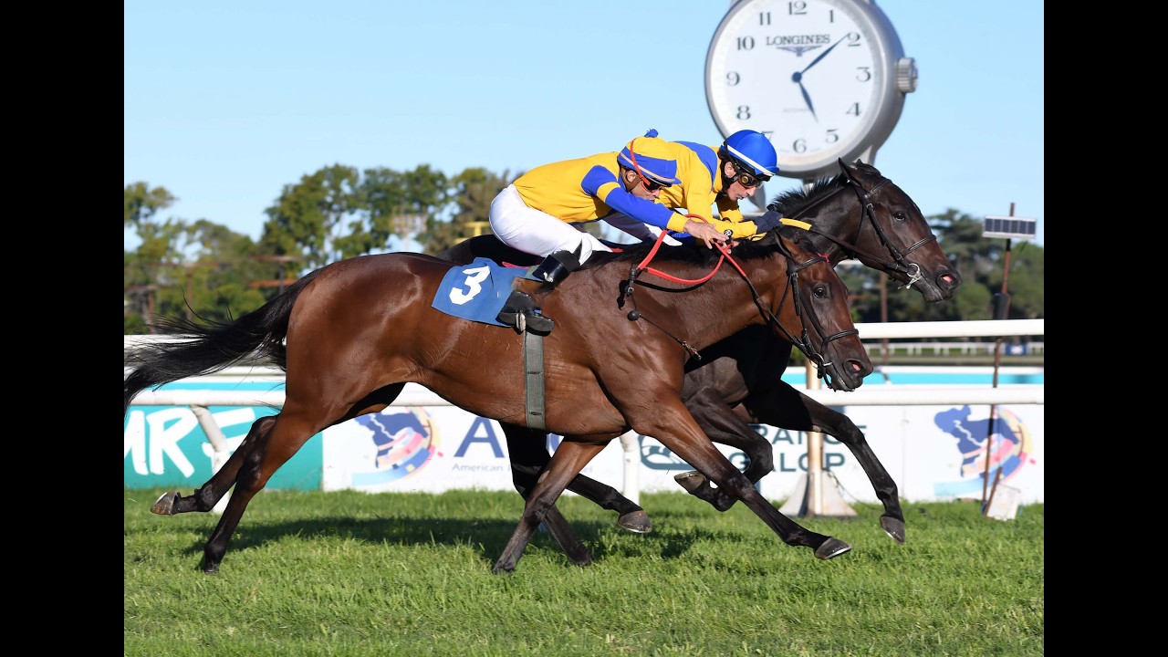 Clásico Juan S. Boucau 2026 - Deep Heart (Dabster)