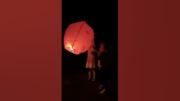 Happy New Year 2025 🎆 #kids #shorts #shortsvideo   #newyear #2025 #fun #fireworks #chineselantern