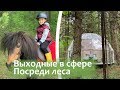 Выходные в прозрачной сфере посреди леса. Pine River Hotel - самый необычный отель рядом с Москвой