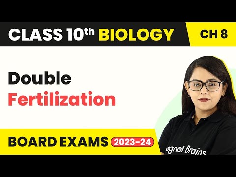 Term 2 Exam Class 10 Biology Chapter 8 | Double Fertilization - How Do Organisms Reproduce?