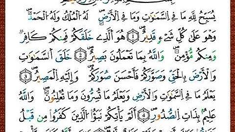 ختمة مصحف التجويد برواية قالون الصفحة رقم 556