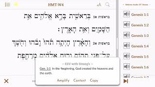 Reading the Hebrew Bible with the Accordance app screenshot 1