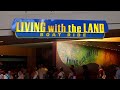 EPCOT Living with the Land 2024 4K Ride POV w/ Food & Wine Decorations | Walt Disney World Florida
