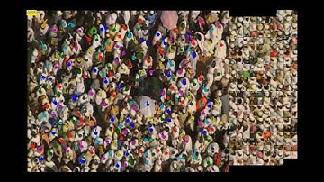 Multi-object tracking in crowded scenes