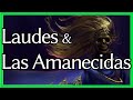 [Blasphemous LORE] Laudes & las Amanecidas