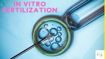In Vitro Fertilization You Need to Know About! IVF 3D Animation #ivf #fertility #biology