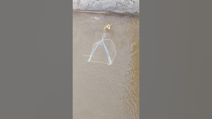 sea fishing   net casting #fishing #casting #seafishing #fisherman #fishingmalayalam #fish #shorts
